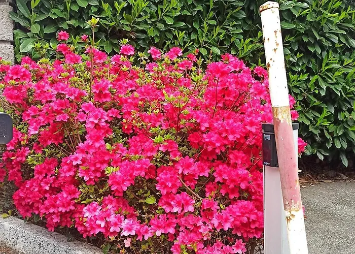 Casa Sandrina, Un Romantico Rifugio Vista